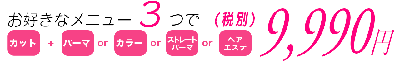 お好きなメニュー３つで（税別）9,990円